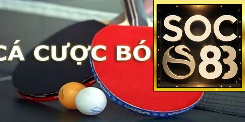 Hệ thống cá cược bóng bàn online tại SOC88 có gì nổi bật?