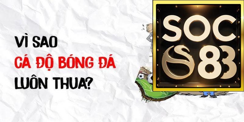 Tại sao cá độ bóng đá luôn thua? Hiểu rõ bản chất: Cá độ không phải là đầu tư