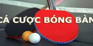 Hệ thống cược bóng bàn tại SOC88 có gì nổi bật?