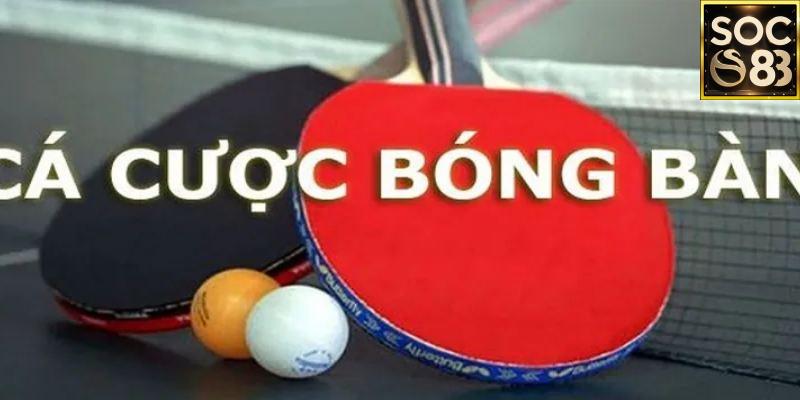 Hệ thống cược bóng bàn tại SOC88 có gì nổi bật?